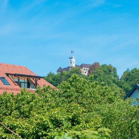 Arto Castle View Apartment Ljubljana Bagian luar foto