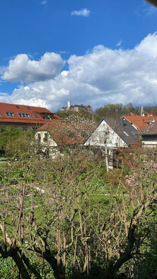 Arto Castle View Apartment Ljubljana Bagian luar foto